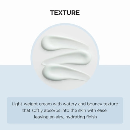 SKIN1004 Madagascar Centella, Hyalu-Cica Moisture Cream
